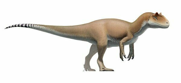 Allosaurus Fragilis Reconstruction by Fred Wierum  Creative Commons License